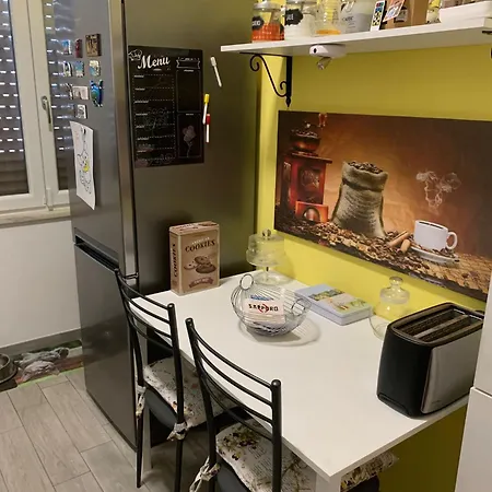 Michelangelo * Novara